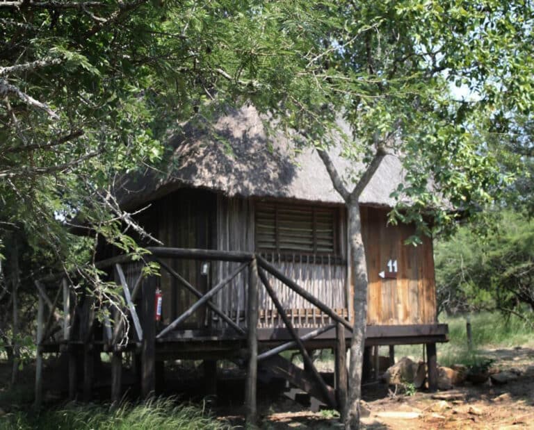 4 Day Kruger Park Treehouse Safari